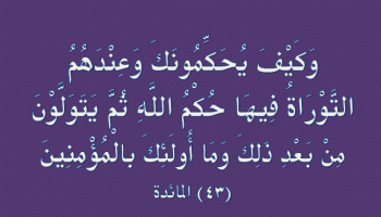 ئىسلامدا زىنانىڭ جازاسى 2 11
