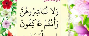 ئاياللارنىڭ ئېتىكاپى 14