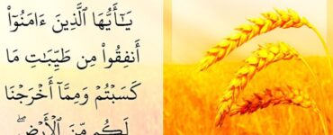 تىجارەت ماللىرىنىڭ زاكىتى 10