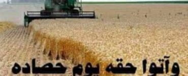 يەر مەھسۇلاتلىرىنىڭ زاكىتى قانداق ئايرىلىدۇ؟ 8