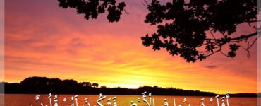 ئاياللارنىڭ سەپىرىدە مەھرەم شەرتمۇ؟ 3