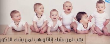 بالىلار ئامانەت ۋە ھەدىيەدۇر 5