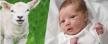 ئاتا-ئانىنىڭ مەسئۇلىيىتىئەقىقە 10