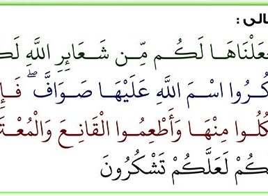 نېمە ئۈچۈن قۇربانلىق قىلىمىز؟ 46