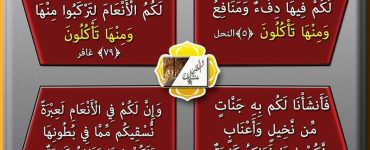 ھايۋانلارنىڭ ئىنسانلارغا يەتكۈزىدىغان پايدىلىرى 13