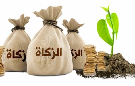 زاكاتنى پەرز قىلىدىغان شەرتلەر 2