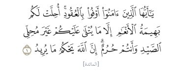 مائىدە 1 ~2 6