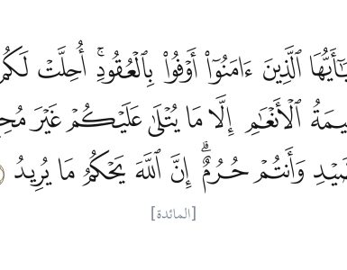 مائىدە 1 ~2 4