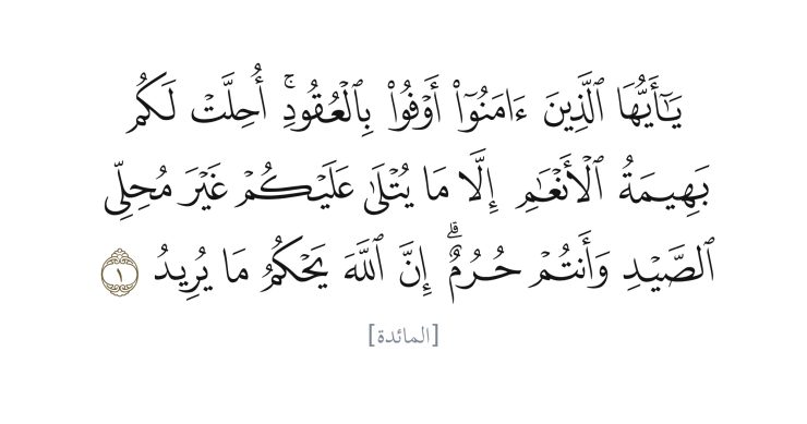 مائىدە 1 ~2 1
