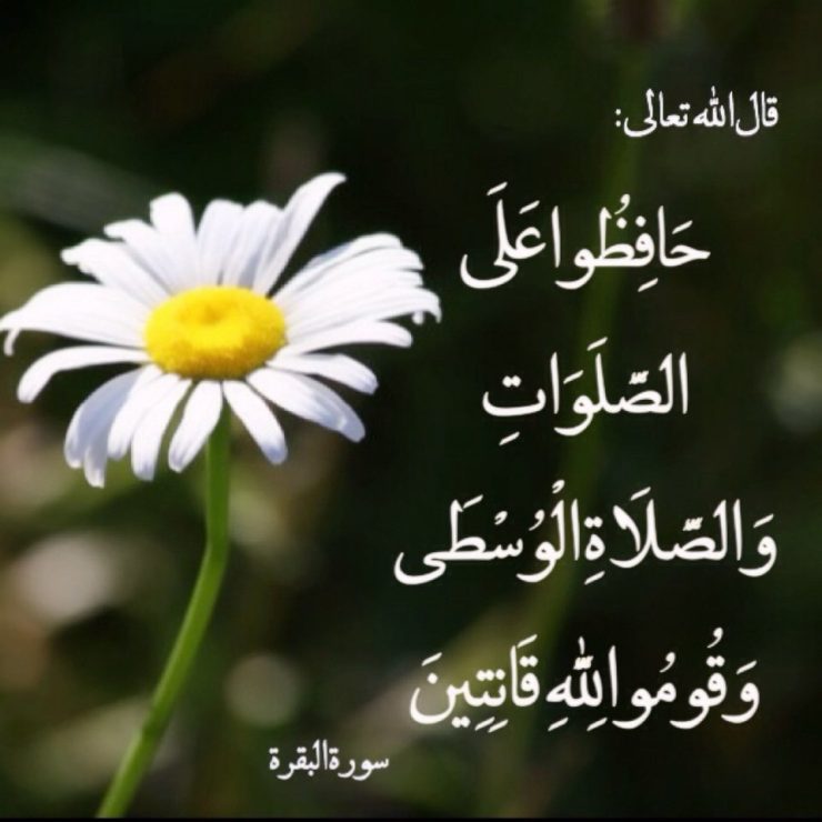 قۇرئاندا بەش ۋاقىت ناماز 1