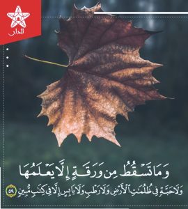 ئەنئام، 53 ~ 59 - ئايەتلەرنىڭ تەرجىمە ۋە تەپسىرى 7 ئەنئام، 53 ~ 59 - ئايەتلەرنىڭ تەرجىمە ۋە تەپسىرى 7