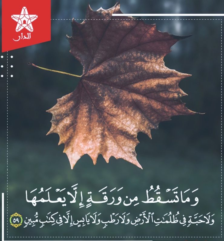 ئەنئام، 53 ~ 59 - ئايەتلەرنىڭ تەرجىمە ۋە تەپسىرى 1